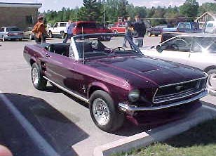 m1.jpg